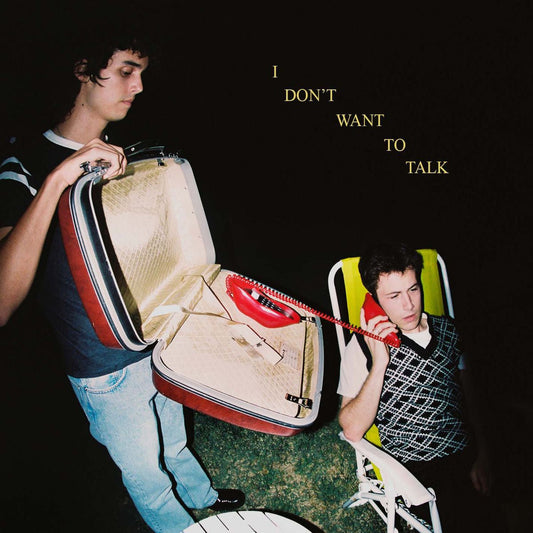 Wallows - I Don’t Want to Talk [Used Vinyl] - Tonality Records