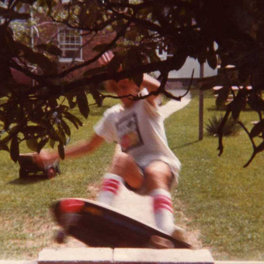 Wavves - Wavvves [Used Vinyl] - Tonality Records