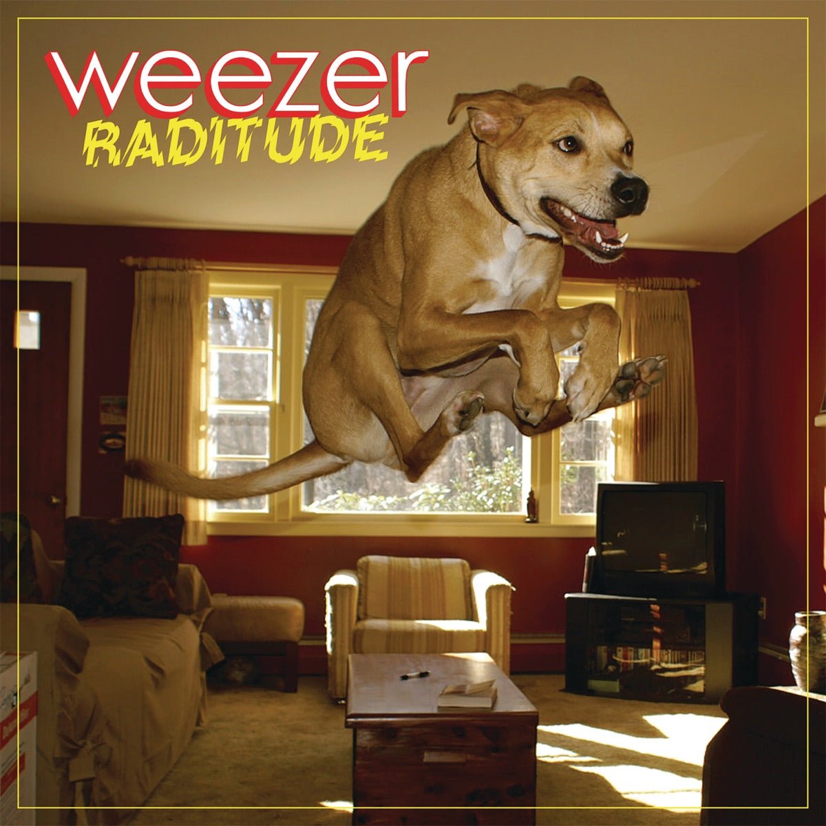 Weezer - Raditude [Used Vinyl] - Tonality Records