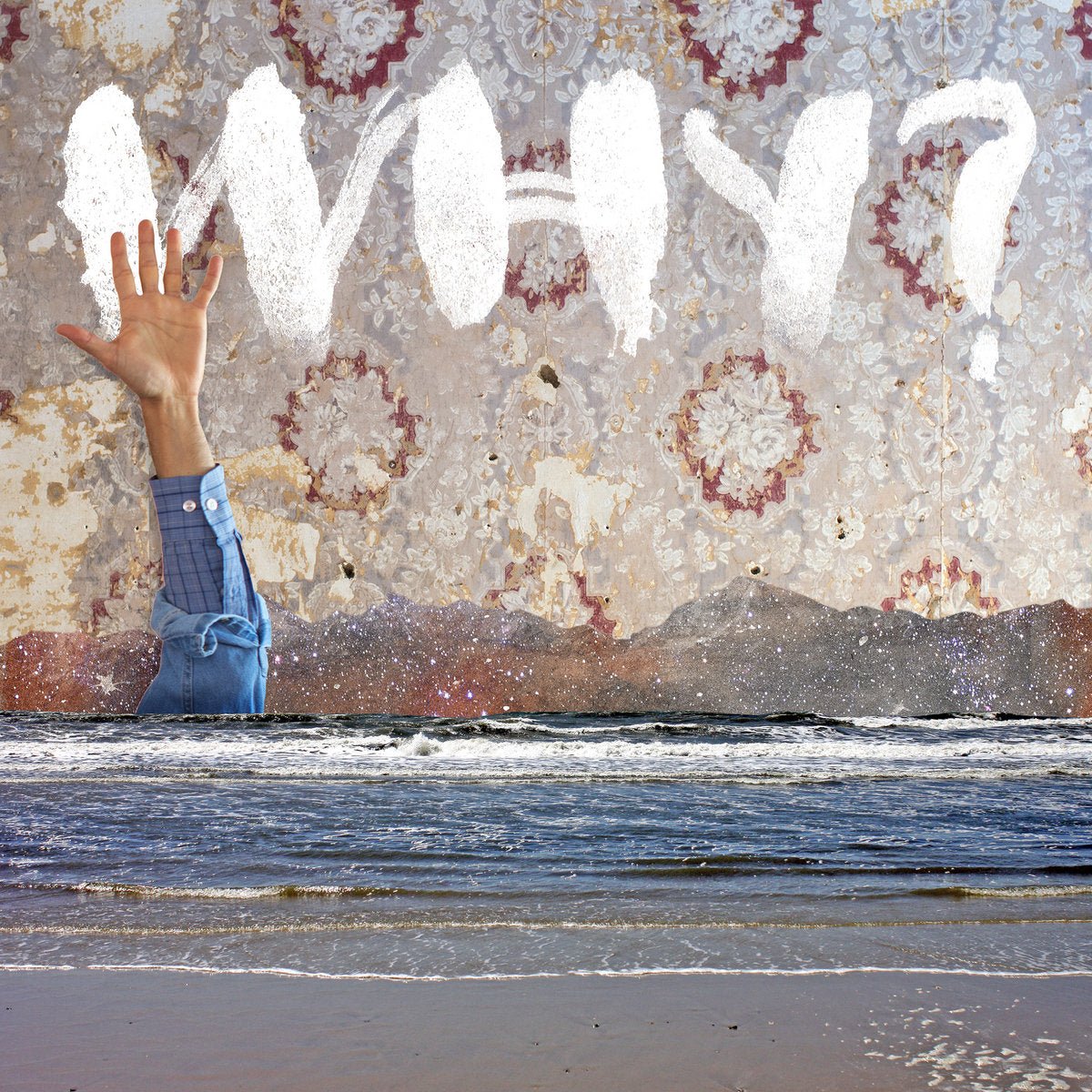 WHY? - Moh Lhean [Used Vinyl] - Tonality Records