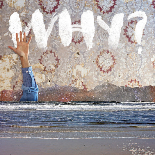WHY? - Moh Lhean [Used Vinyl] - Tonality Records