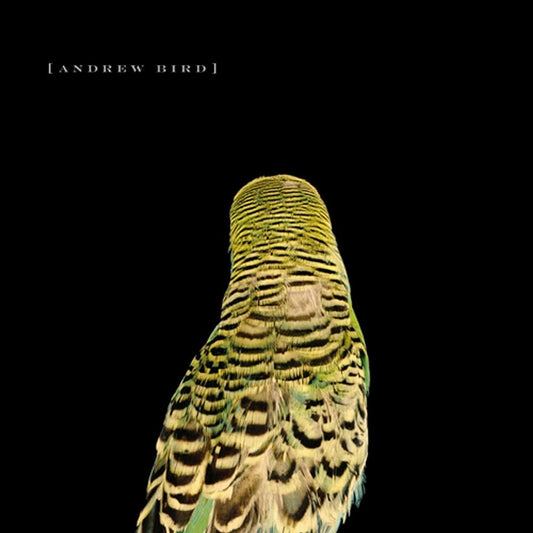 Andrew Bird - Armchair Apocrypha [New Vinyl] - Tonality Records