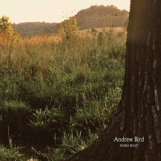 Andrew Bird - Noble Beast [New Vinyl] - Tonality Records