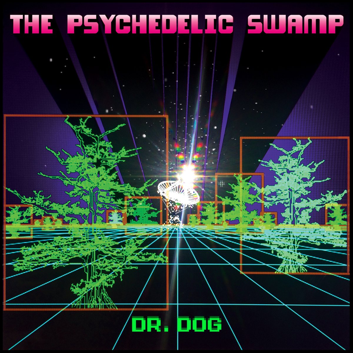 Dr. Dog - The Psychedelic Swamp [New Vinyl] - Tonality Records