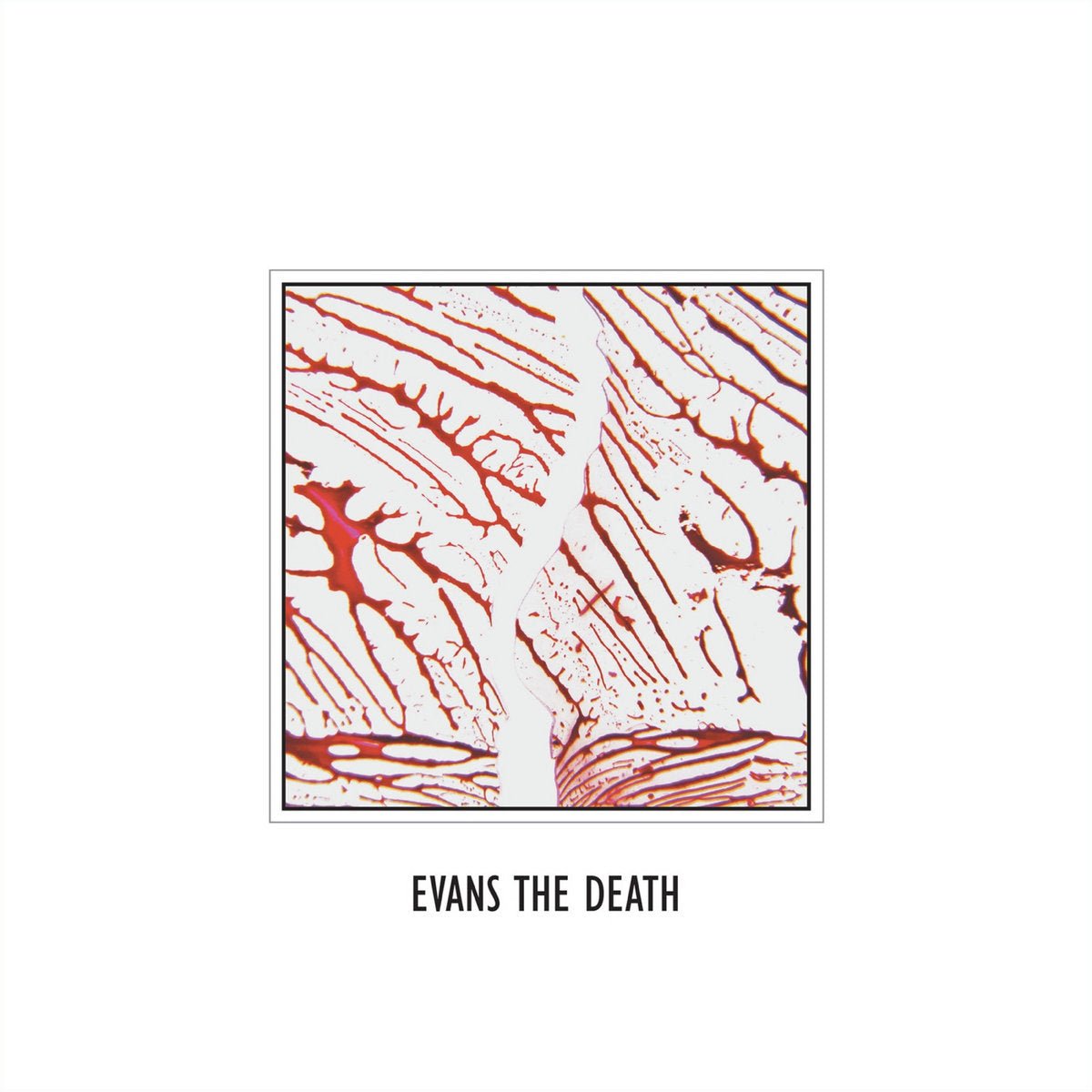 Evans The Death - Evans The Death [New Vinyl] - Tonality Records