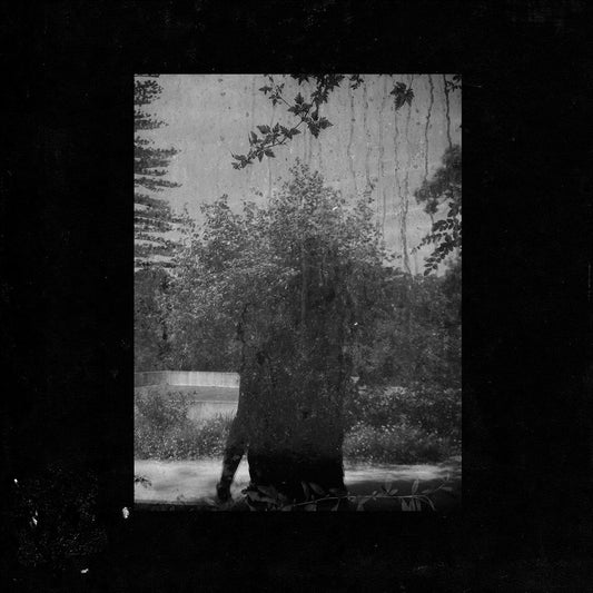 Grouper - Ruins [New Vinyl] - Tonality Records