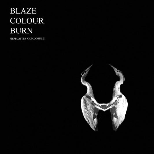 Jan St. Werner - Blaze Colour Burn [New Vinyl] - Tonality Records