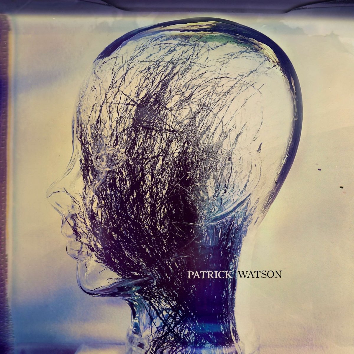Patrick Watson - The Wave [New Vinyl] - Tonality Records