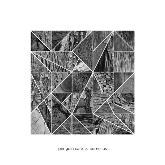 Penguin Cafe & Cornelius - Umbrella EP [Used Vinyl] - Tonality Records