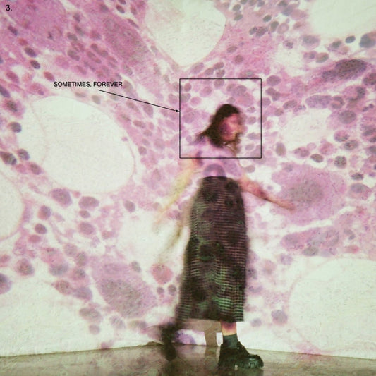 Soccer Mommy - Sometimes, Forever [New Vinyl] - Tonality Records