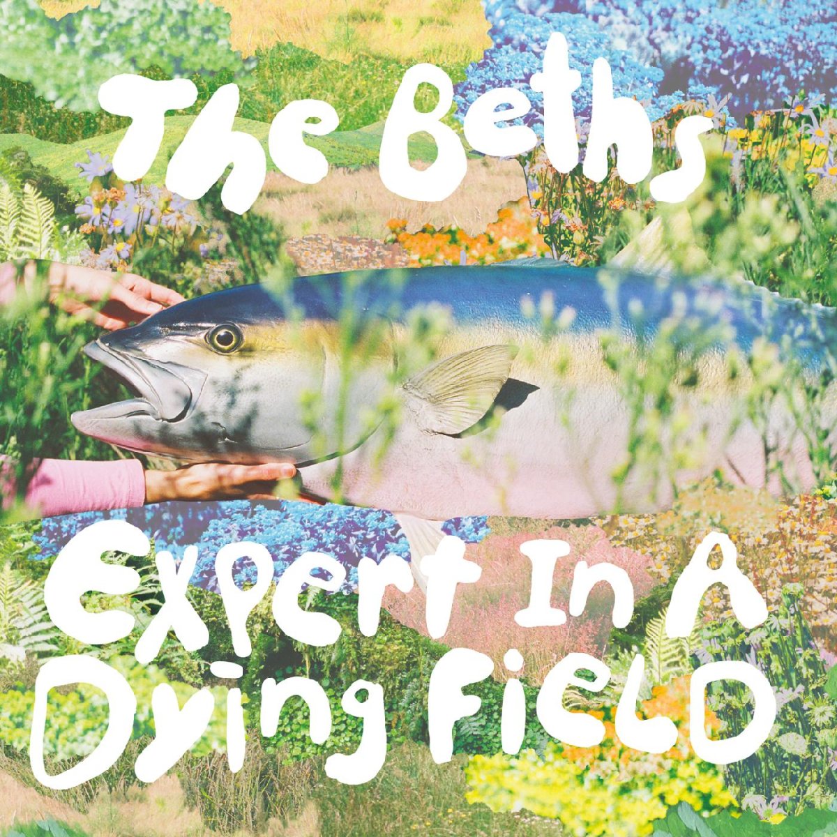 The Beths - Expert In A Dying Field [New Vinyl] - Tonality Records