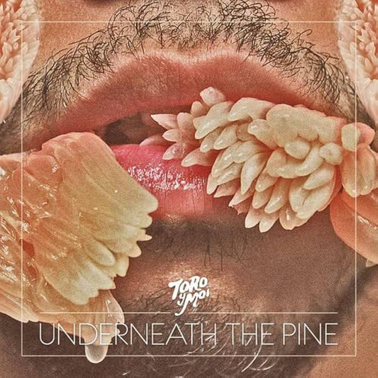 Toro Y Moi - Underneath The Pine [New Vinyl] - Tonality Records